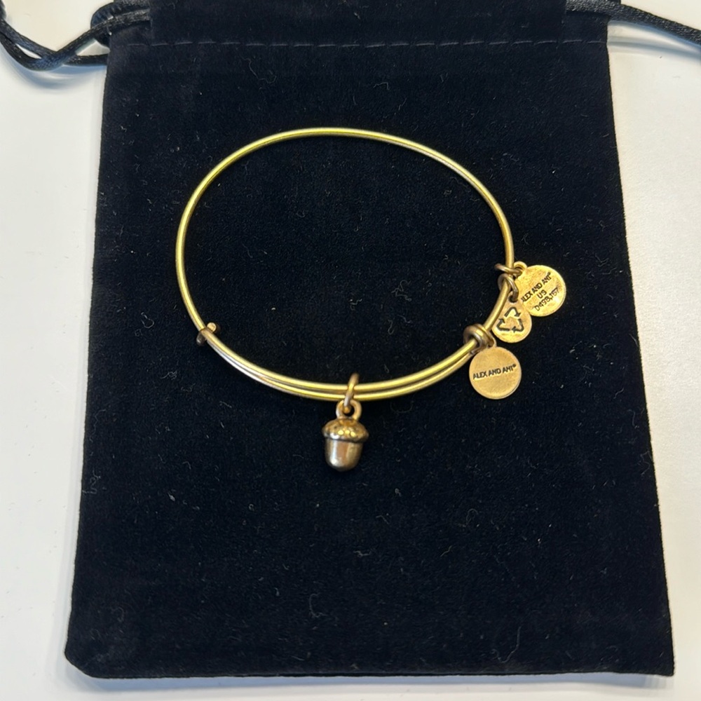 Alex and Ani acorn bangle